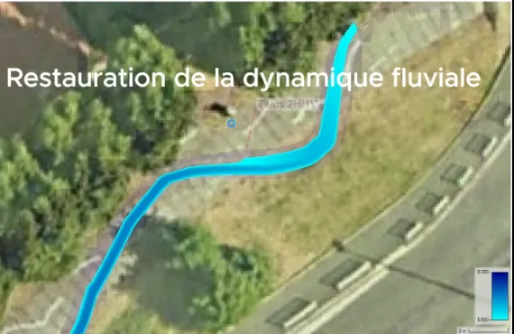 Vue aérienne d'un tracé de cours d'eau restauré illustrant la dynamique fluviale