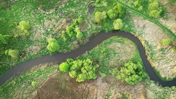 Travaux de restauration écologique des berges